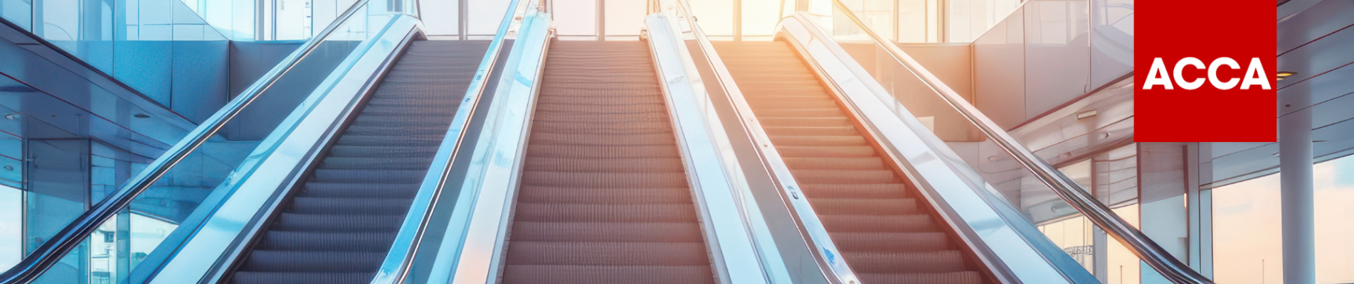 Fast-track and elevate your career with ACCA Accelerate!